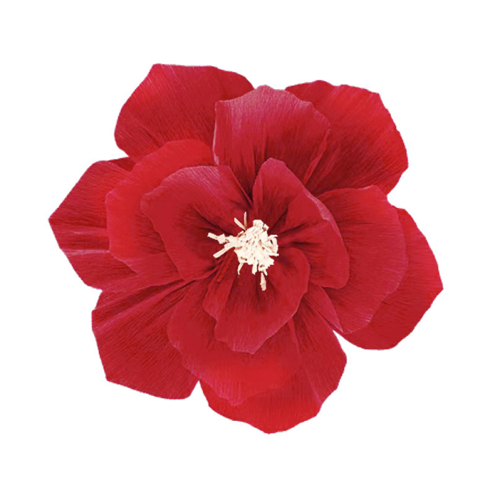 DIY Pleated Paper Flowers Wedd - Supply Wedding Venue recension och pris